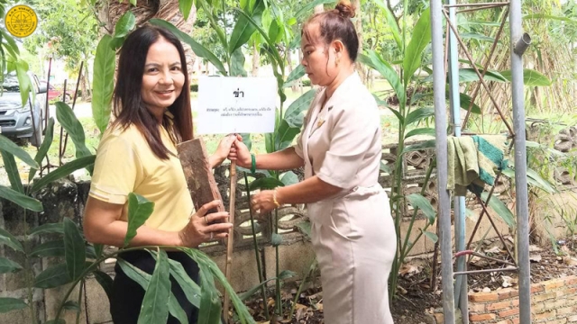 โครงการ 1 อปท. 1 สวนสมุนไพรเฉลิมพระเกียรติพระบาทสมเด็จพระเจ้าอยู่หัวฯ