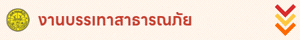 งานบรรเทาสาธารณภัย