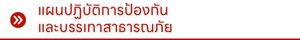 แผนปฏิบัติการป้องกันและบรรเทาสาธารณภัย